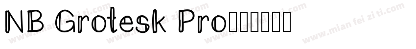 NB Grotesk Pro字体转换